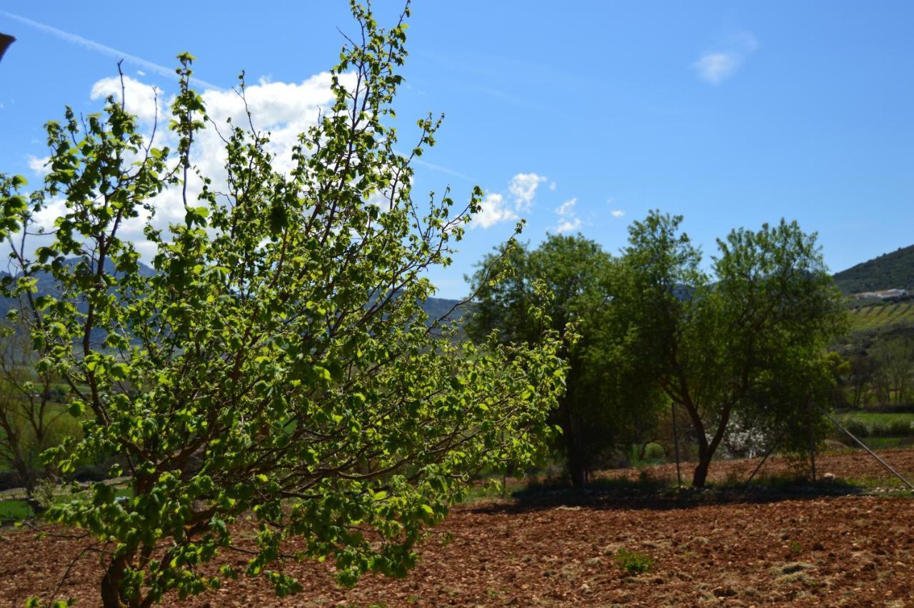 Villanueva del Rosario Cortijo Petra Bed & Breakfast エクステリア 写真