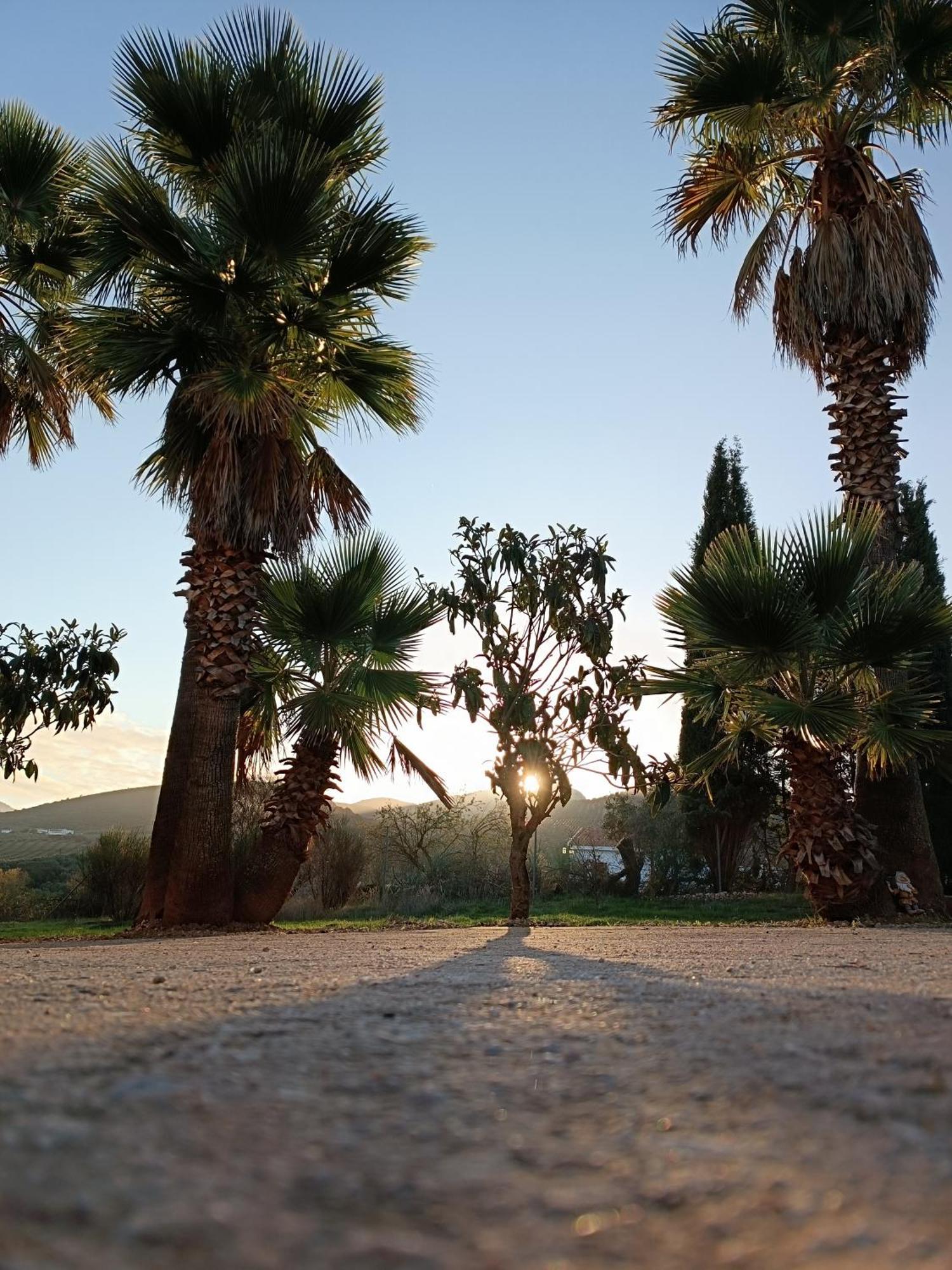 Villanueva del Rosario Cortijo Petra Bed & Breakfast エクステリア 写真