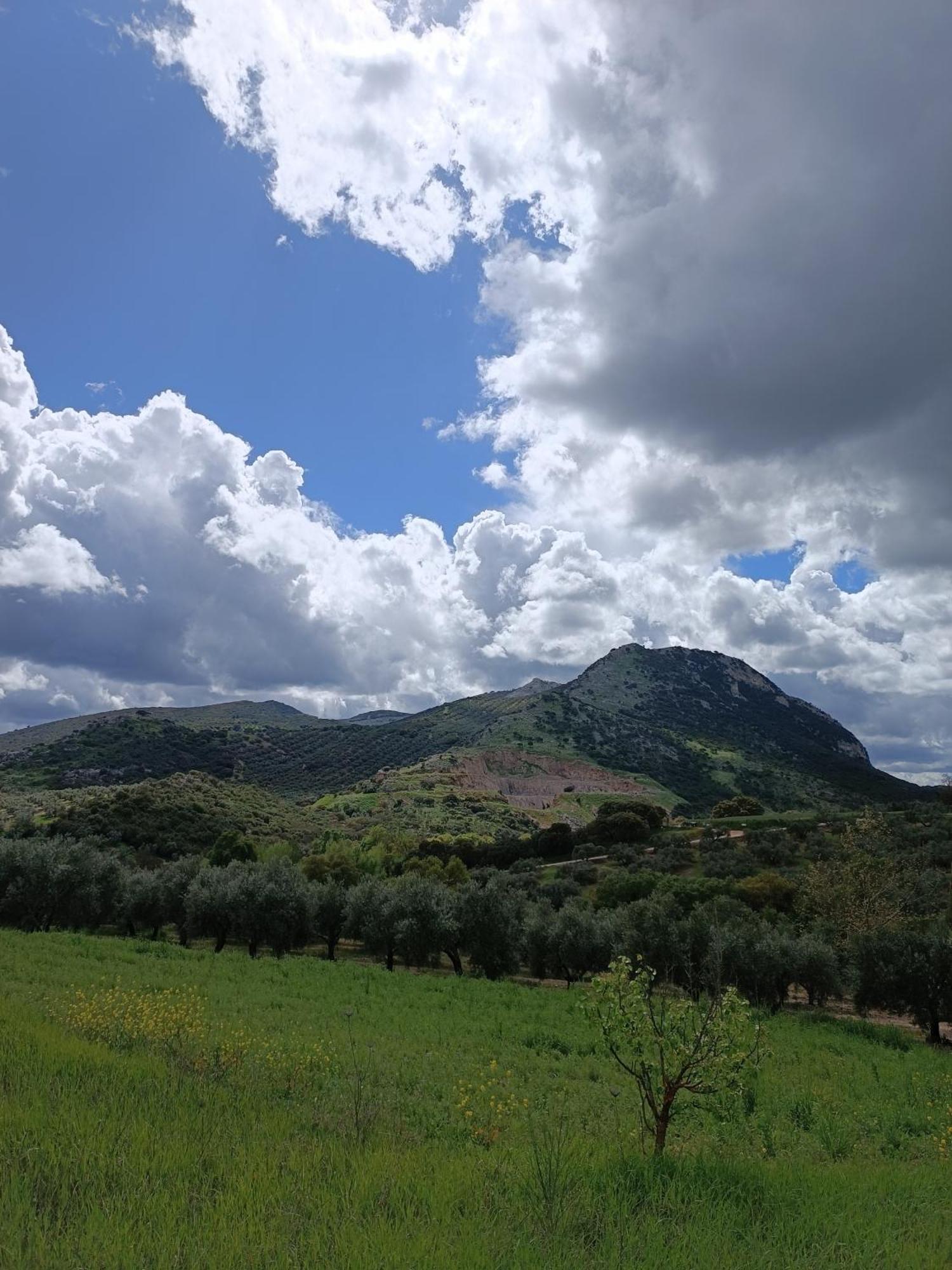 Villanueva del Rosario Cortijo Petra Bed & Breakfast エクステリア 写真