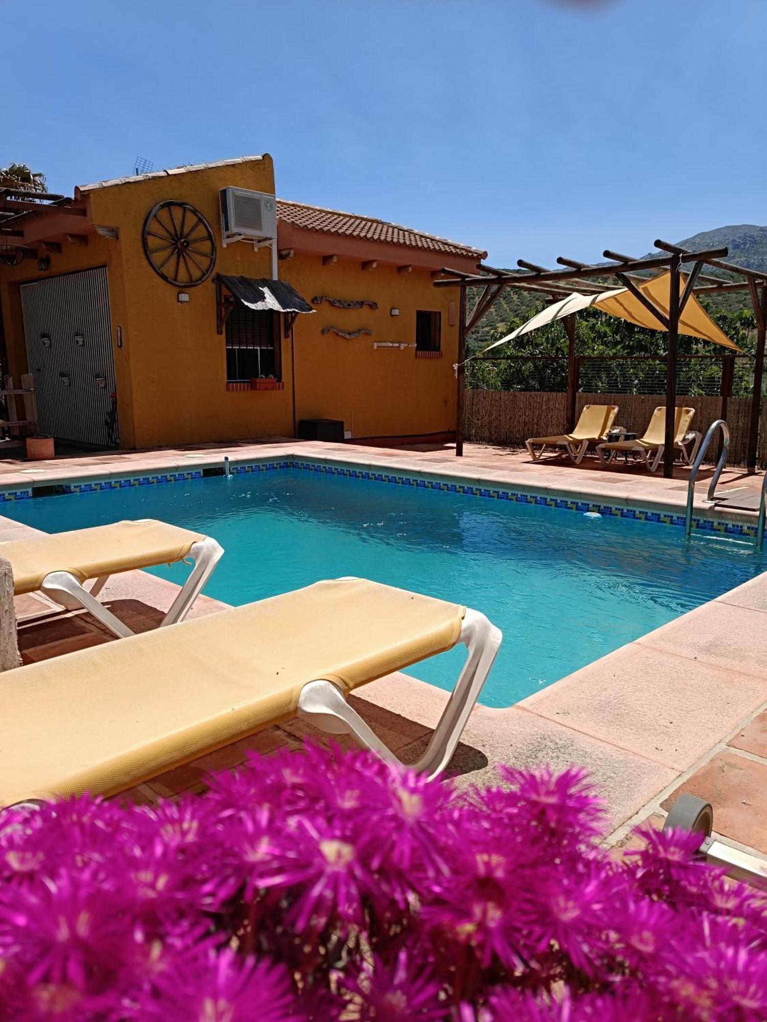 Villanueva del Rosario Cortijo Petra Bed & Breakfast エクステリア 写真